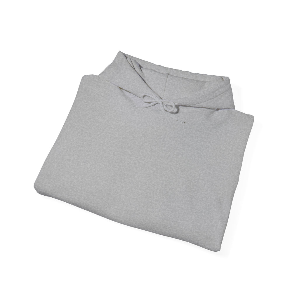 Consistency hoodie